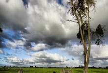 Maxi Doge: Unlocking the Presale Potential and Crypto's Visionary Path